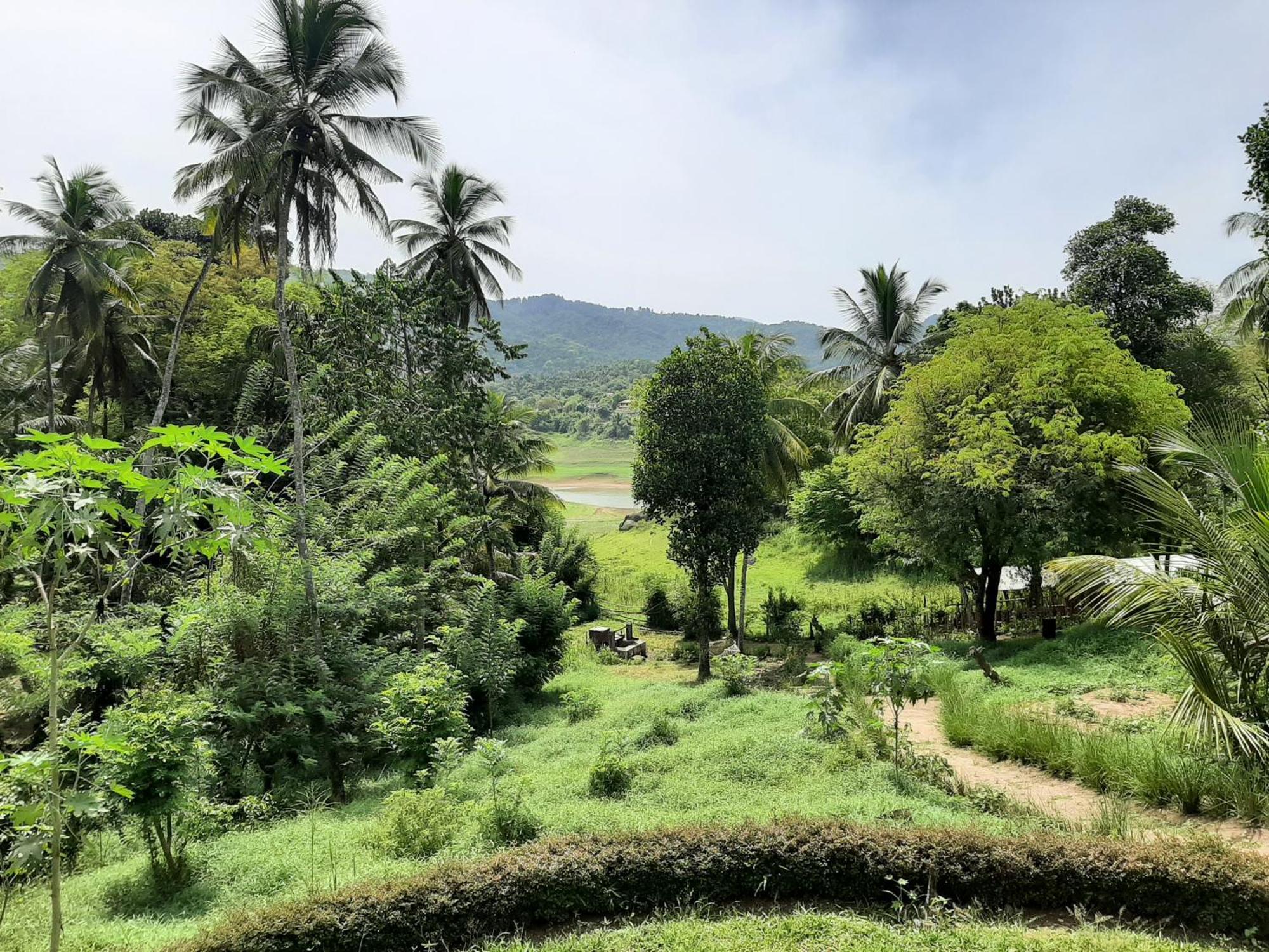Victoria Views Resort Kandy Digana Exterior foto